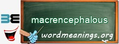 WordMeaning blackboard for macrencephalous